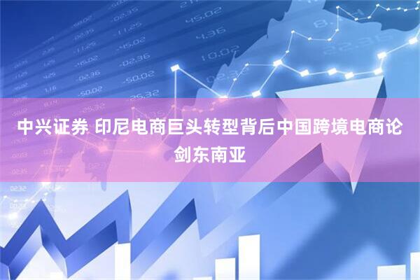 中兴证券 印尼电商巨头转型背后中国跨境电商论剑东南亚