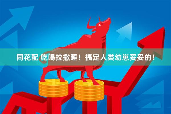 同花配 吃喝拉撒睡！搞定人类幼崽妥妥的！